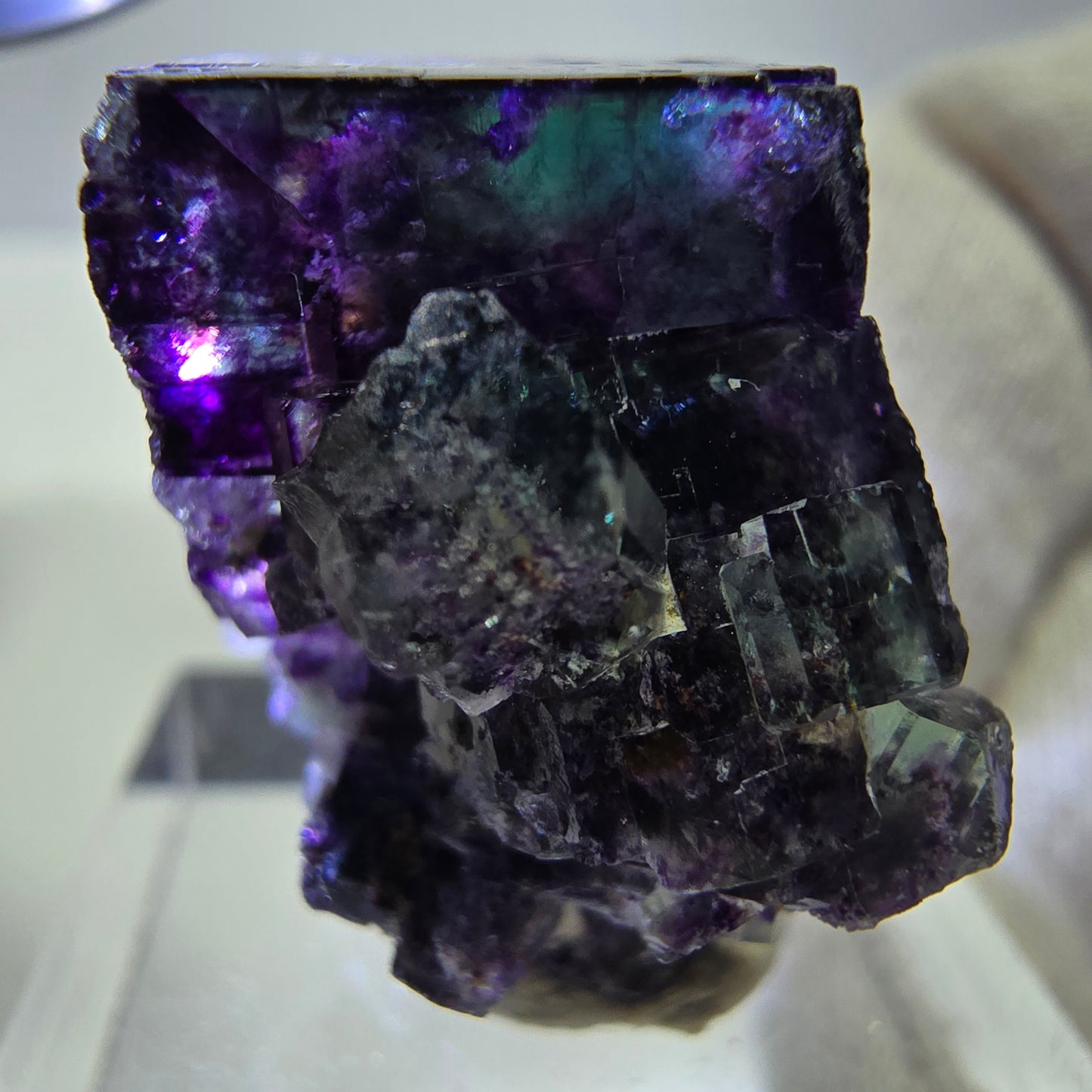 Spécimen rare de cube de fluorite fantôme, vert zonal et violet, Okorusu, Namibie, 32 x 29 x 18 mm 