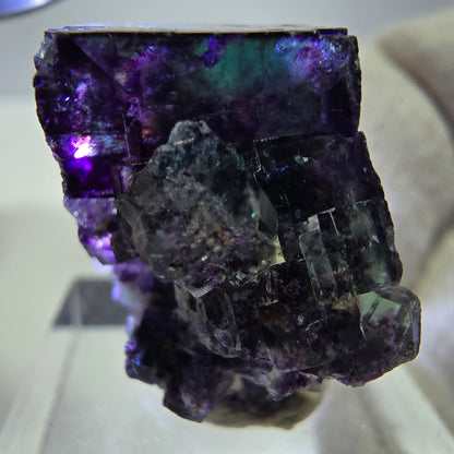 Spécimen rare de cube de fluorite fantôme, vert zonal et violet, Okorusu, Namibie, 32 x 29 x 18 mm 