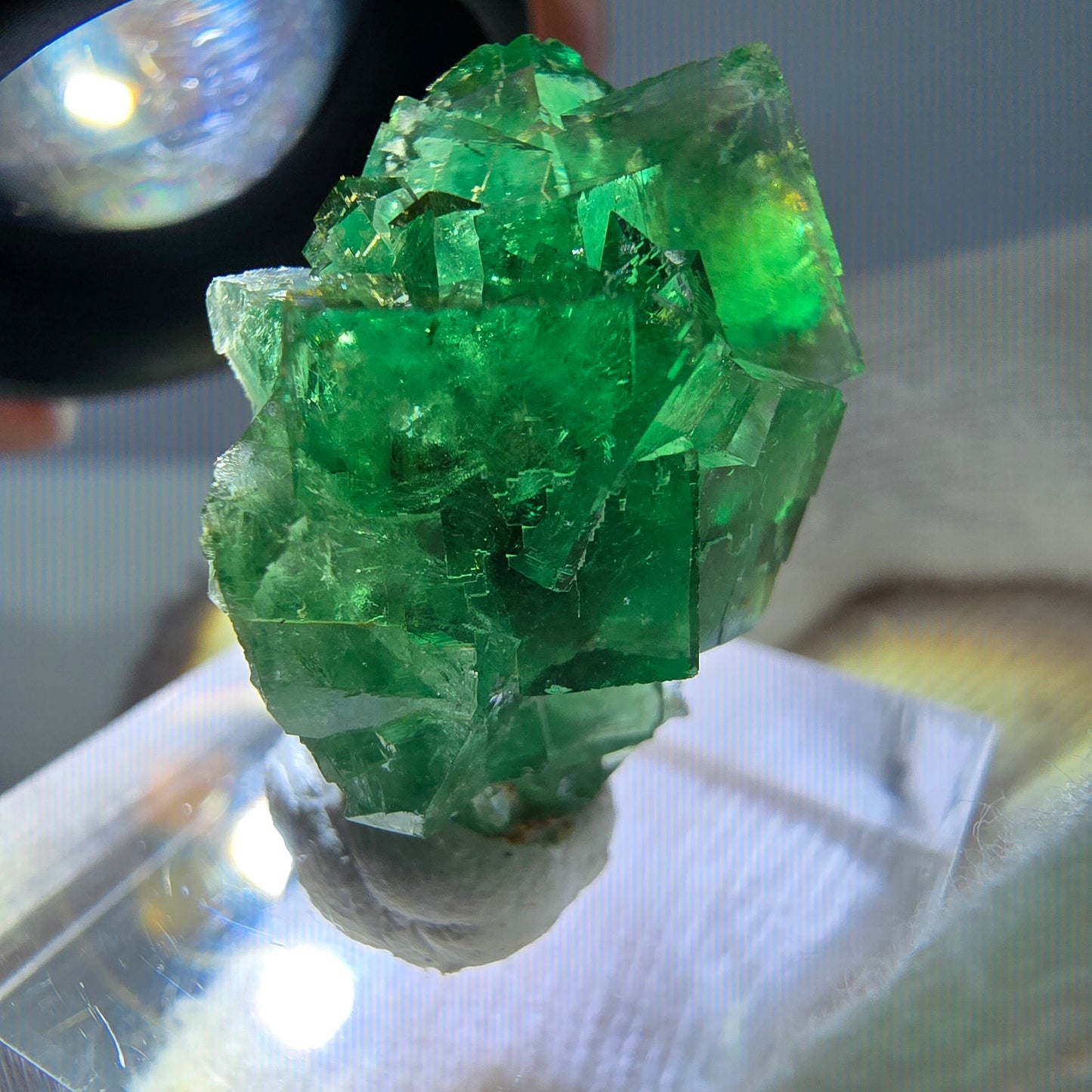 Cube de fluorite fantôme parqueté, vert Okorusu, Namibie 25*21*16mm 