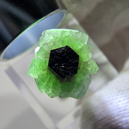 Cube de fluorite fantôme zonal, spécimen de tourmaline Schorl, Erongo, Namibie, 25 x 12 x 12 mm 
