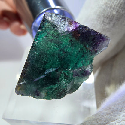 Rare cube de fluorite fantôme, vert violet zonal Okorusu, Namibie 29*28*15 mm 
