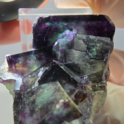 Phantom Fluorit Würfel Stufe, parkettiert grün lila Okorusu, Namibia 39*33*19mm