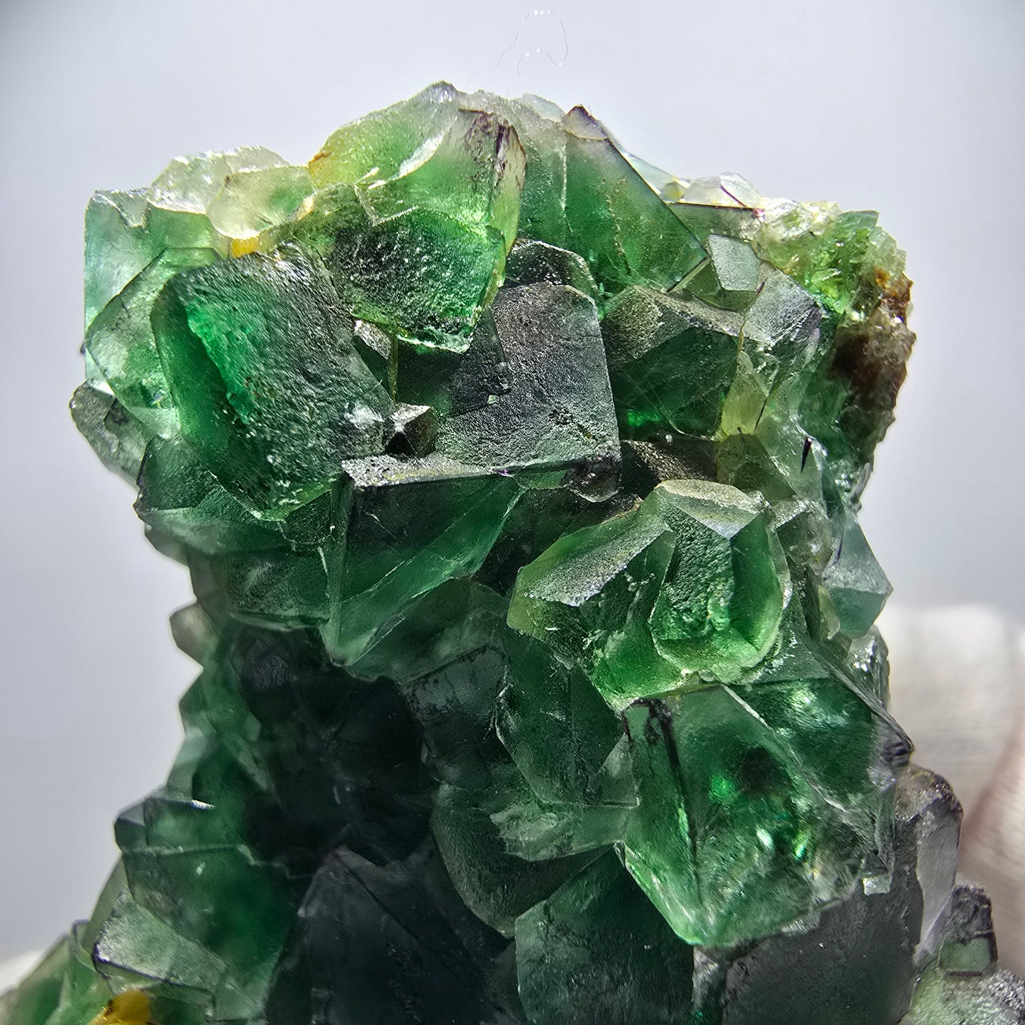 Phantom fluorite zonal, muscovite stage Erongo, Namibia 72*50*40mm 