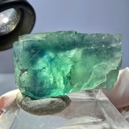Cube de fluorite fantôme transparente parquetée, vert Okorusu, Namibie 28 x 23 x 18 mm 