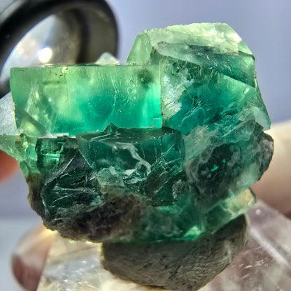 Seltene Phantom Fluorit Würfel Stufe, grün Okorusu, Namibia 26*23*16mm