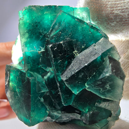 Rare spécimen de cube de fluorite fantôme, parqueté vert Okorusu, Namibie, 60 x 46 x 30 mm 