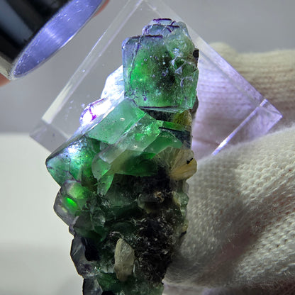 Fluorite fantôme, quartz fumé, hyalite, tourmaline de Schörl, muscovite, Erongo, Namibie, 37 x 18 x 18 mm 