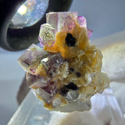 Spécimen de fluorite fantôme colorée, tourmaline scholle, muscovite, Erongo, Namibie, 31 x 21 x 21 mm 