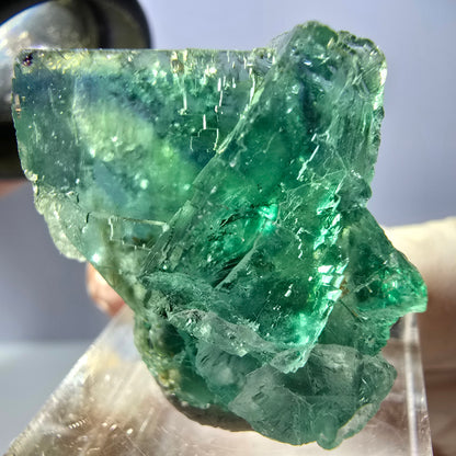 Seltene Phantom Fluorit Würfel Stufe, grün Okorusu, Namibia 31*27*17mm