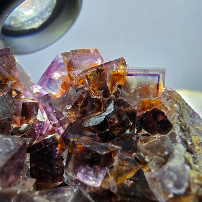 Rare spécimen de cube de fluorite fantôme, violet jaune Okorusu Namibie 63*59*34mm 