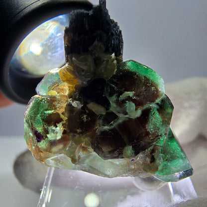Cube de fluorite fantôme, spécimen de tourmaline scholle muscovite, Erongo, Namibie, 32 x 24 x 18 mm 
