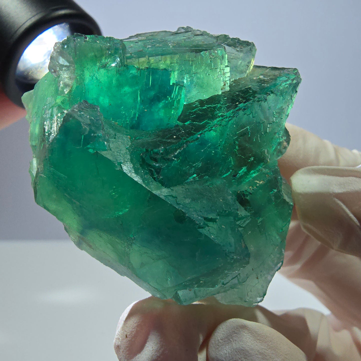 Spécimen de cube de fluorite fantôme transparente, vert parqueté, Okorusu, Namibie, 51 x 40 x 26 mm 