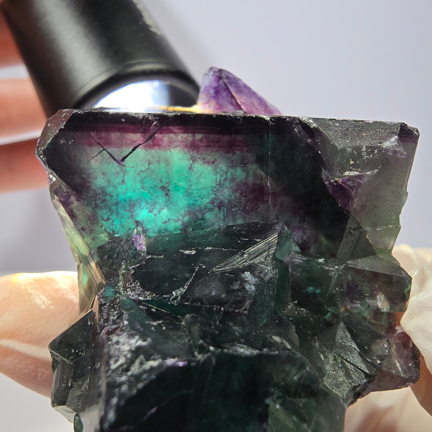 Spécimen de cube de fluorite fantôme, parqueté vert violet Okorusu, Namibie 58*40*27 mm 