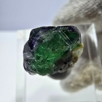Cube de fluorite fantôme, spécimen de muscovite, Erongo, Namibie, 18 x 14 x 10 mm 