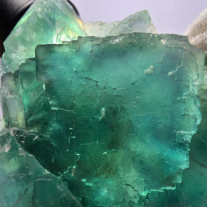 Rare spécimen de cube de fluorite fantôme, parqueté vert Okorusu, Namibie, 77 x 73 x 27 mm 