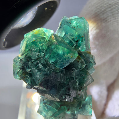 Cube de fluorite fantôme, spécimen de tourmaline Schorl, Erongo, Namibie, 34 x 27 x 22 mm 