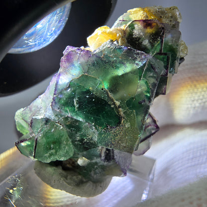 Cube de fluorite fantôme zonal, tourmaline muscovite Schörl hyalite Erongo, Namibie 36 x 21 x 17 mm 