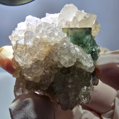 Rare cube de fluorite fantôme, spécimen de quartz vert violet Okorusu Namibie 48*42*28mm 