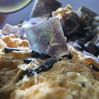 Fluorite fantôme colorée, tourmaline schol, hyalite, muscovite, Erongo, Namibie, 72 x 70 x 35 mm 