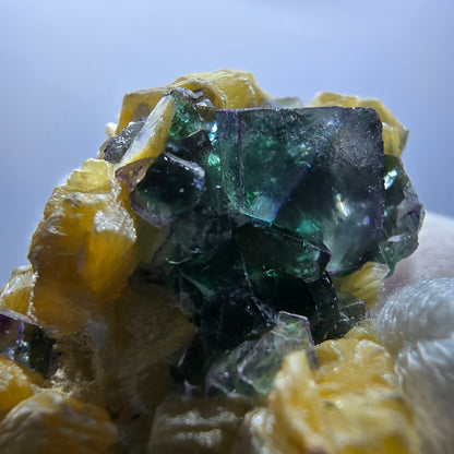 Cube de fluorite fantôme zonal, spécimen de muscovite, Erongo, Namibie, 60 x 33 x 33 mm 