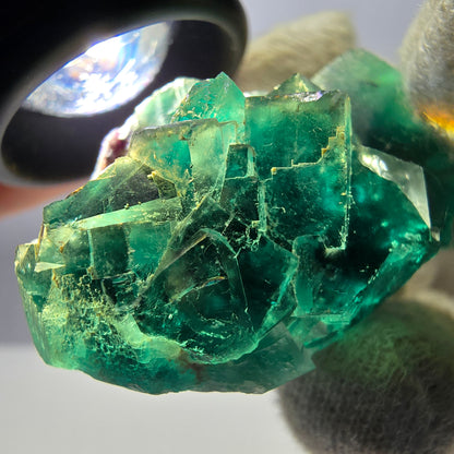 Rare spécimen de cube de fluorite fantôme, parqueté vert Okorusu, Namibie, 44 x 31 x 17 mm 