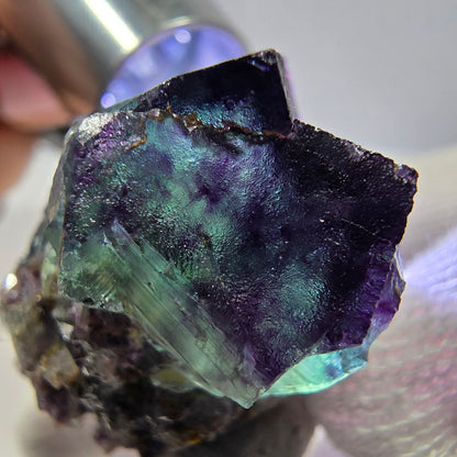 Spécimen zonal de cube de fluorite fantôme, vert violet, Okorusu, Namibie, 40 x 30 x 26 mm 