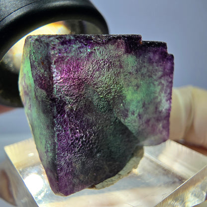 Phantom Fluorit Würfel parkettiert, grün lila Okorusu, Namibia 23*22*20mm
