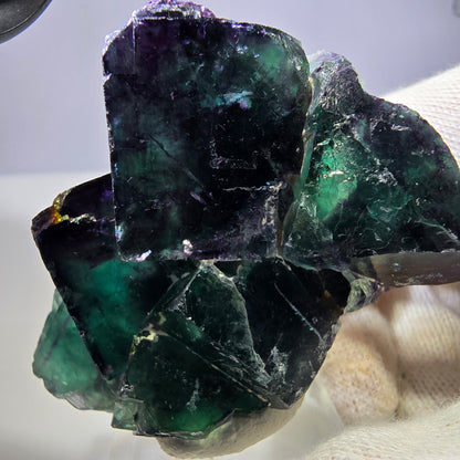 Spécimen rare de cube de fluorite fantôme, vert zonal et violet, Okorusu, Namibie, 62 x 49 x 21 mm 