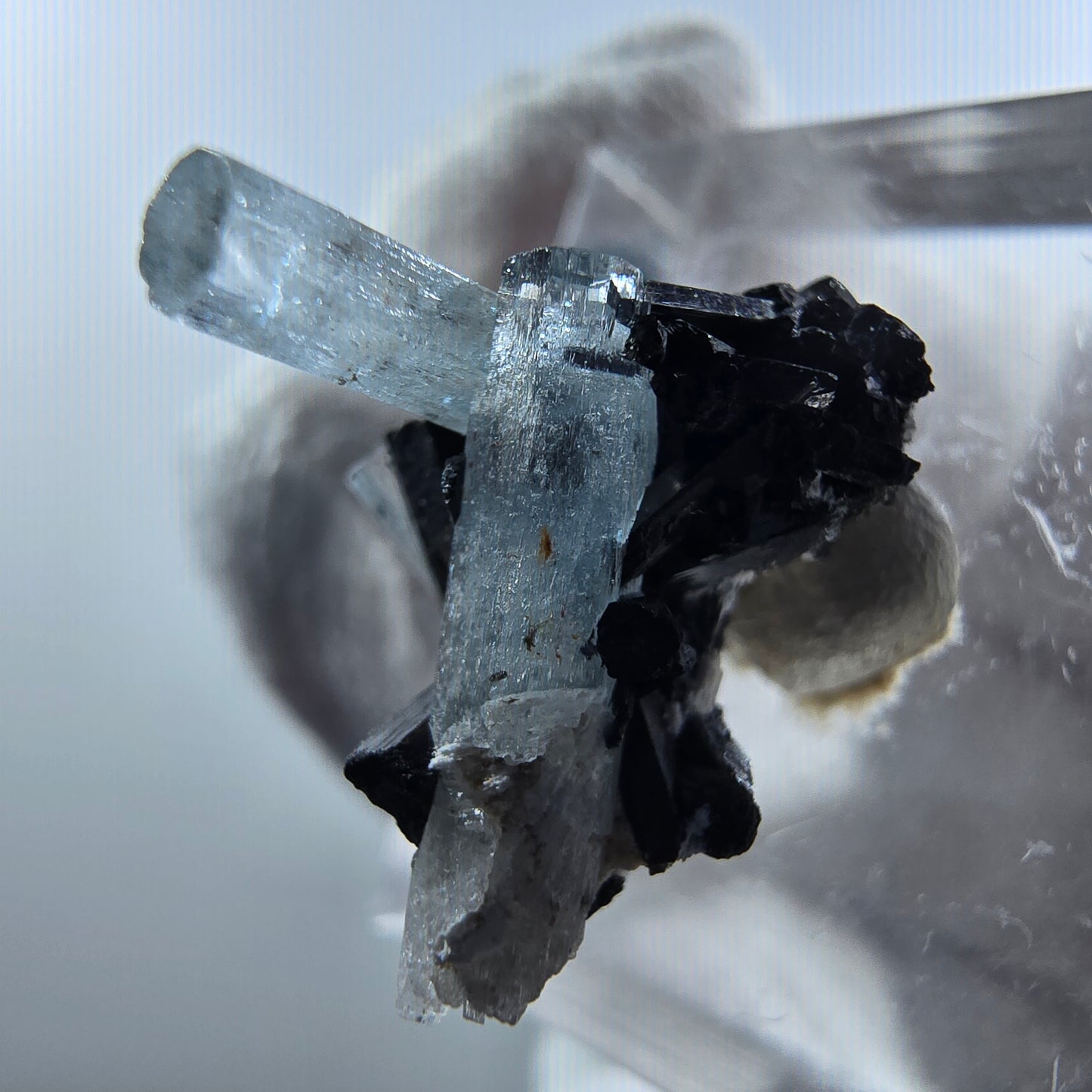 Aigue-marine Setlene, tourmaline Schörl stade Erongo, Namibie 19*17*12mm 