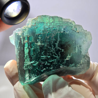Spécimen de cube de fluorite fantôme transparente, vert parqueté, Okorusu, Namibie, 65 x 46 x 28 mm 