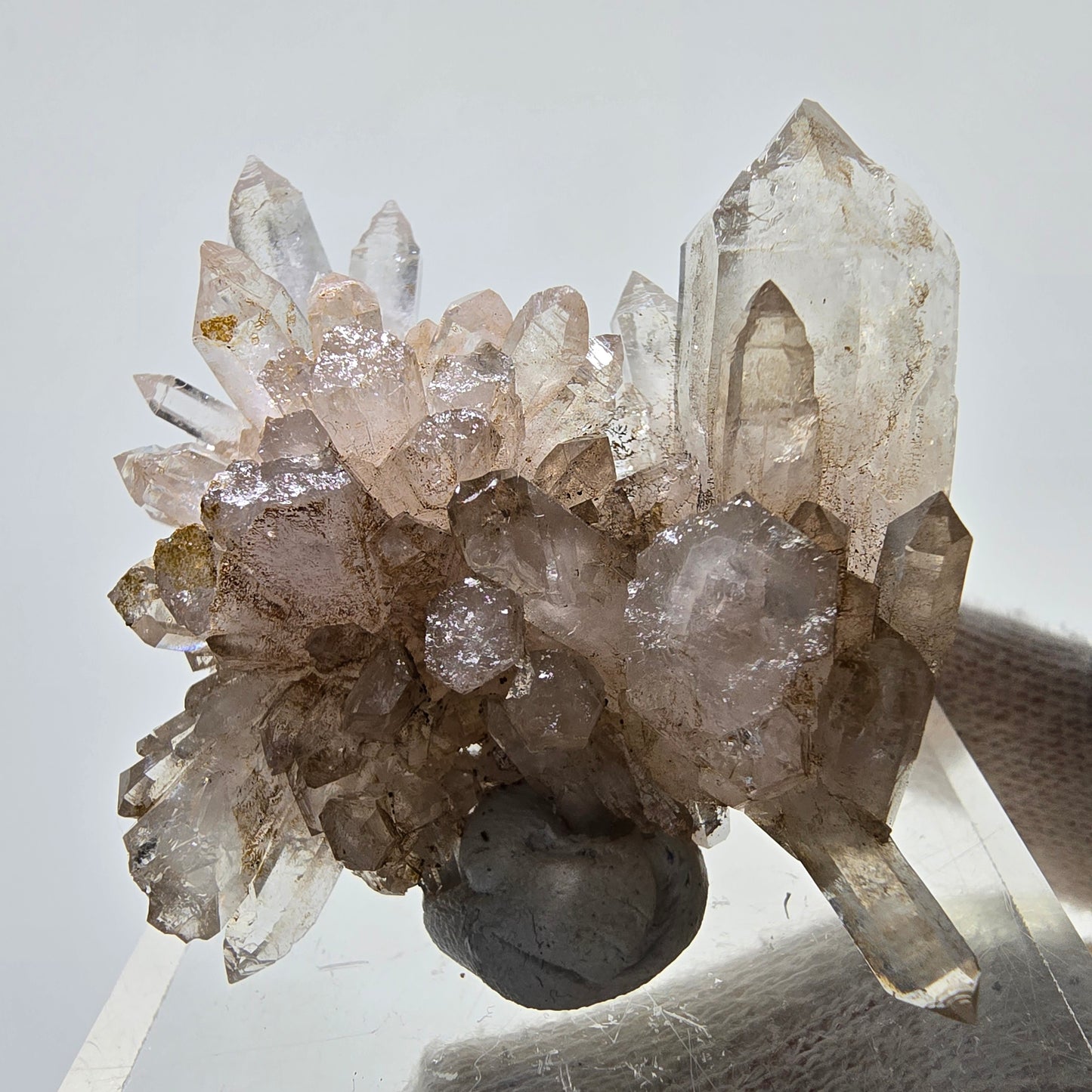 Skeleton Phantom Smoky Quartz DT Scepter Grade Valentine Pocket, Namibia 55*44*18mm 