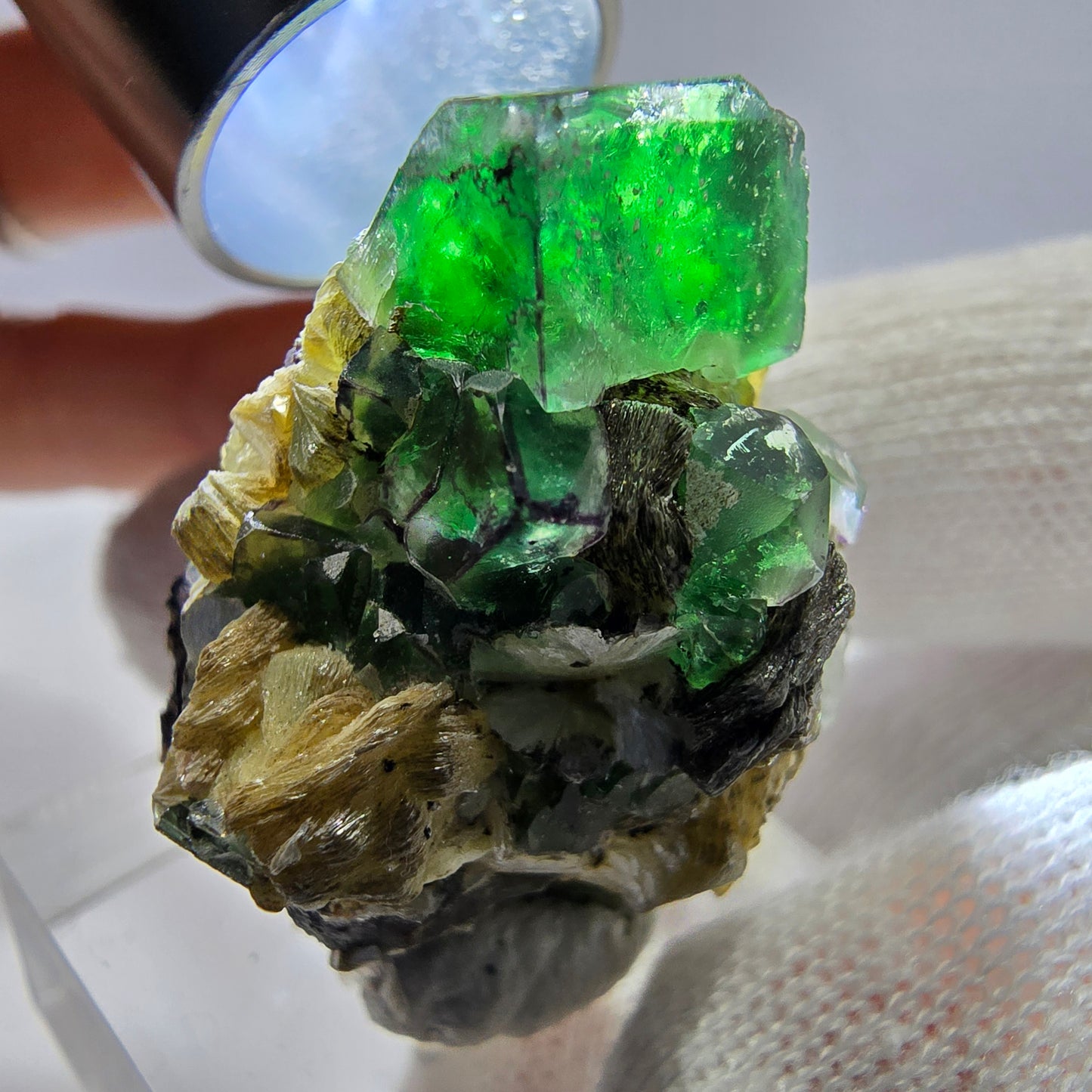 Spécimen de cube de fluorite fantôme zonal, de muscovite et de tourmaline Schorl, Erongo, Namibie, 31 x 24 x 27 mm 