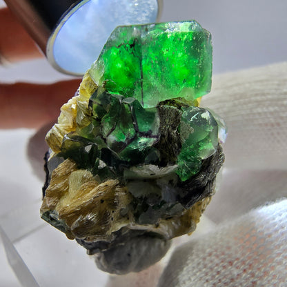 Spécimen de cube de fluorite fantôme zonal, de muscovite et de tourmaline Schorl, Erongo, Namibie, 31 x 24 x 27 mm 