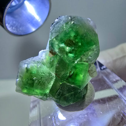 Spécimen de quartz fumé muscovite, cube de fluorite fantôme, Erongo, Namibie, 22 x 18 x 11 mm 