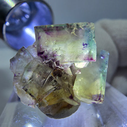 Spécimen de cube de fluorite fantôme zonal, jaune violet vert Okorusu, Namibie 21*17*14mm 