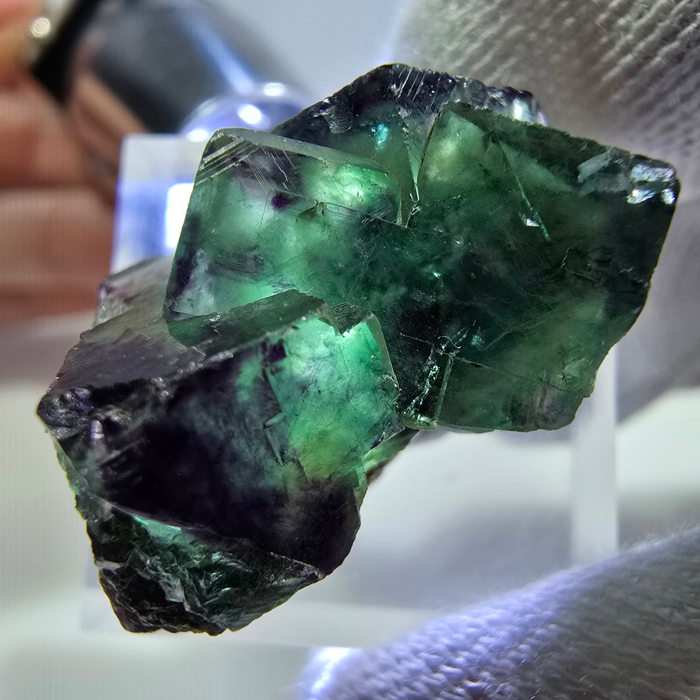Spécimen rare de cube de fluorite fantôme, vert zonal et violet, Okorusu, Namibie, 29 x 17 x 17 mm 