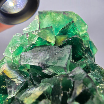 Spécimen de cube de fluorite fantôme parqueté vert violet Okorusu, Namibie 62*44*26mm 
