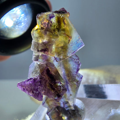 Phantom Fluorit Würfe Stufe, lila gelb Erongo, Namibia 31*16*11mm