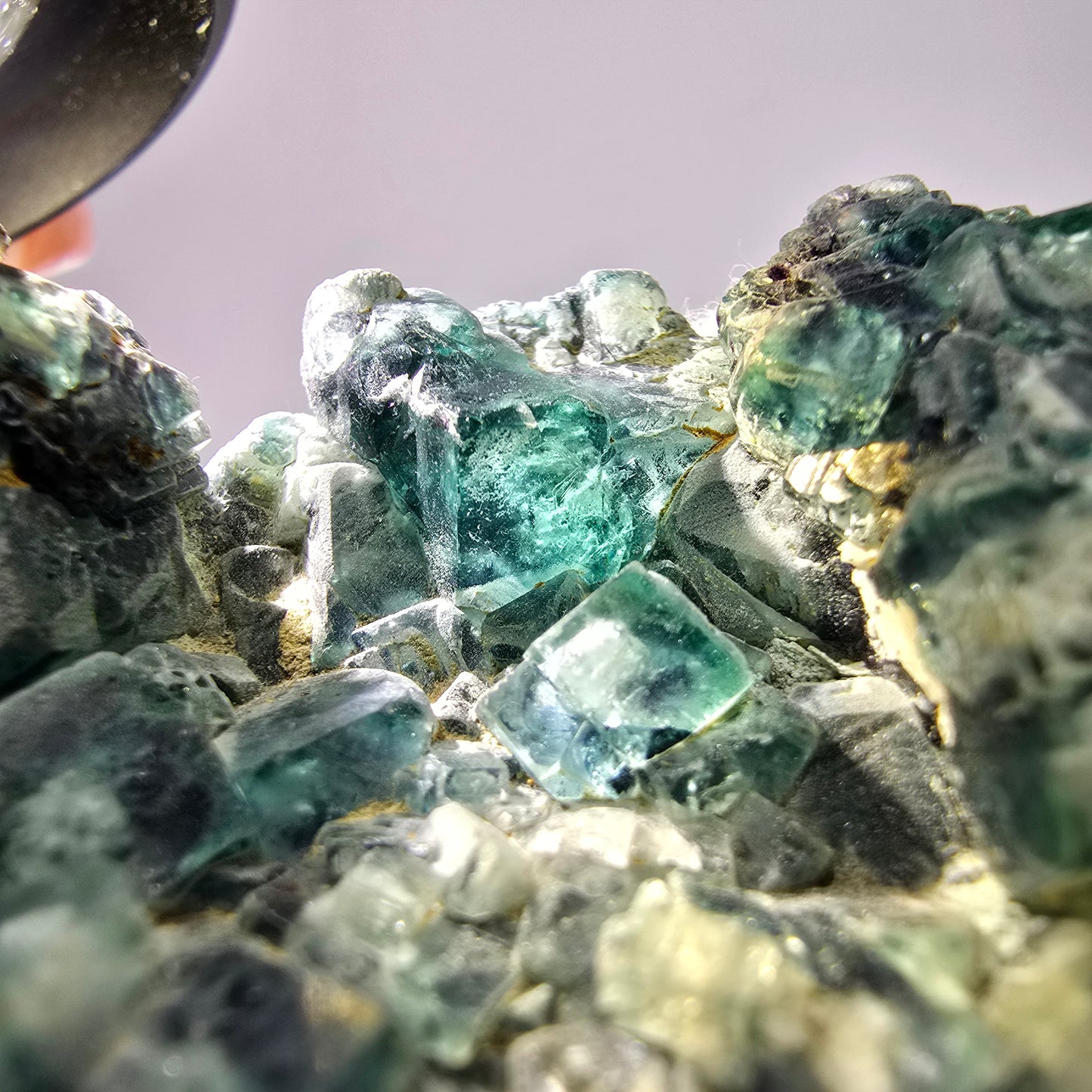 Rares cubes de fluorite fantôme zonaux, vert violet, Erongo, Namibie 75 x 53 x 15 mm 