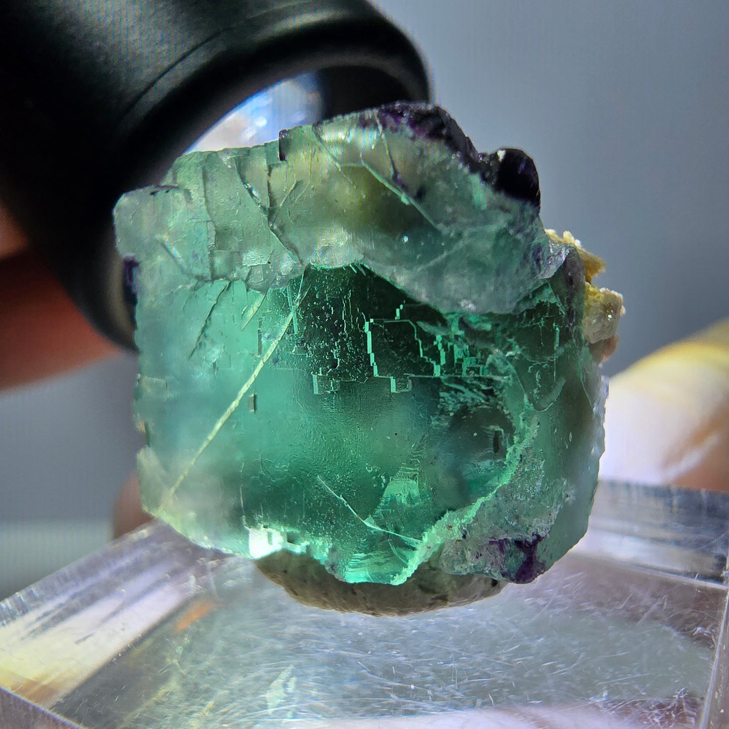 Phantom Fluorit Würfel parkettiert, zonal, grün lila Okorusu, Namibia 18*17*15mm