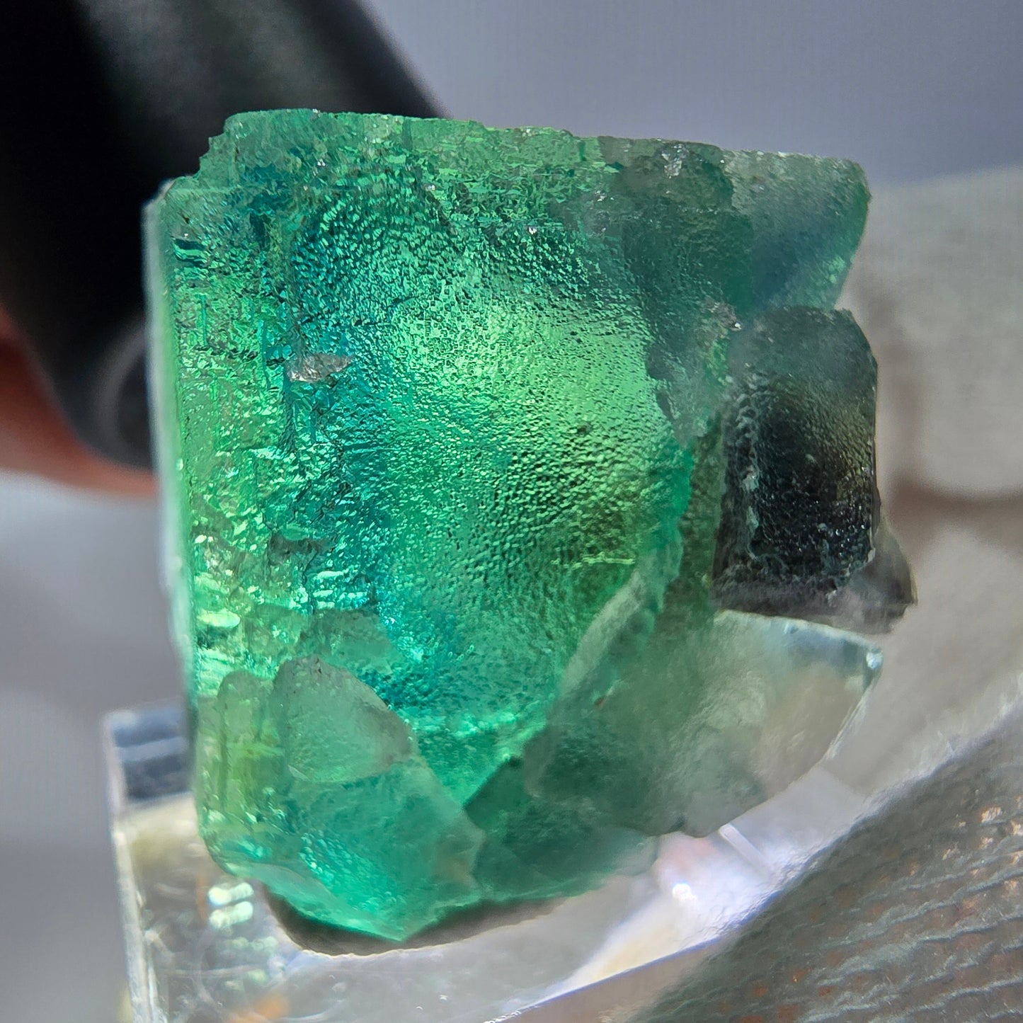 Spécimen de cube de fluorite fantôme parqueté vert turquoise Okorusu, Namibie 36*26*22mm 