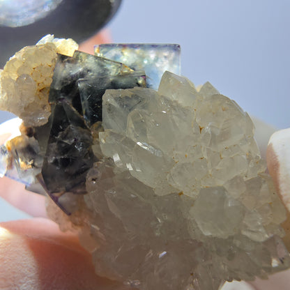 Rare cube de fluorite fantôme, spécimen de quartz vert violet Okorusu Namibie 34*28*25mm 