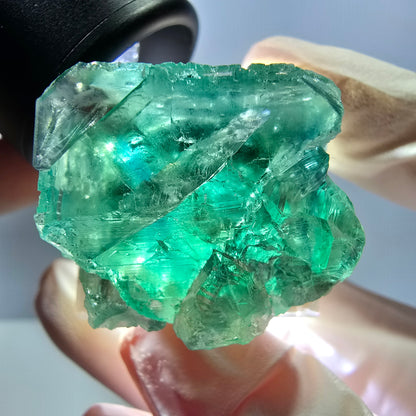 Phantom Fluorit Würfel Stufe, grün parkettiert Okorusu, Namibia 27*24*22mm