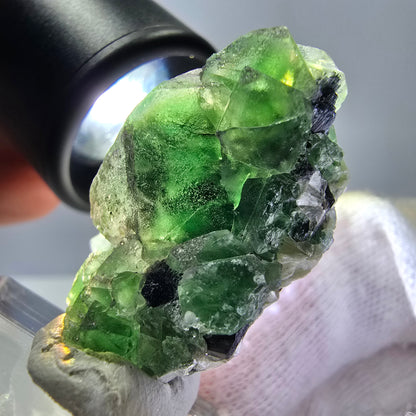 Fluorite fantôme, Tourmaline Schörl, Stade muscovite Erongo, Namibie 35*20*20mm 