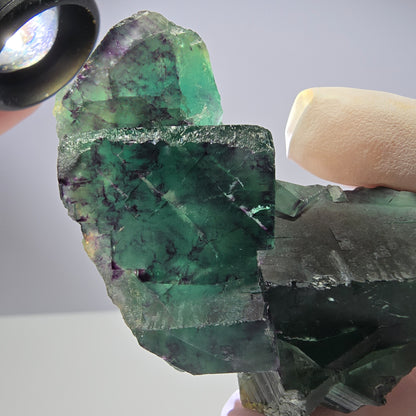 Spécimen de cube de fluorite fantôme parqueté vert violet Okorusu, Namibie 66*42*22mm 