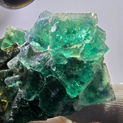 Grand spécimen de cube de fluorite fantôme, parqueté, vert Okorusu, Namibie 101*84*63mm 