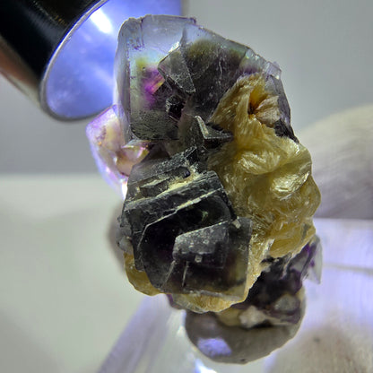 Cubes de fluorite fantôme colorés, spécimen de muscovite, Erongo, Namibie, 28 x 20 x 20 mm 