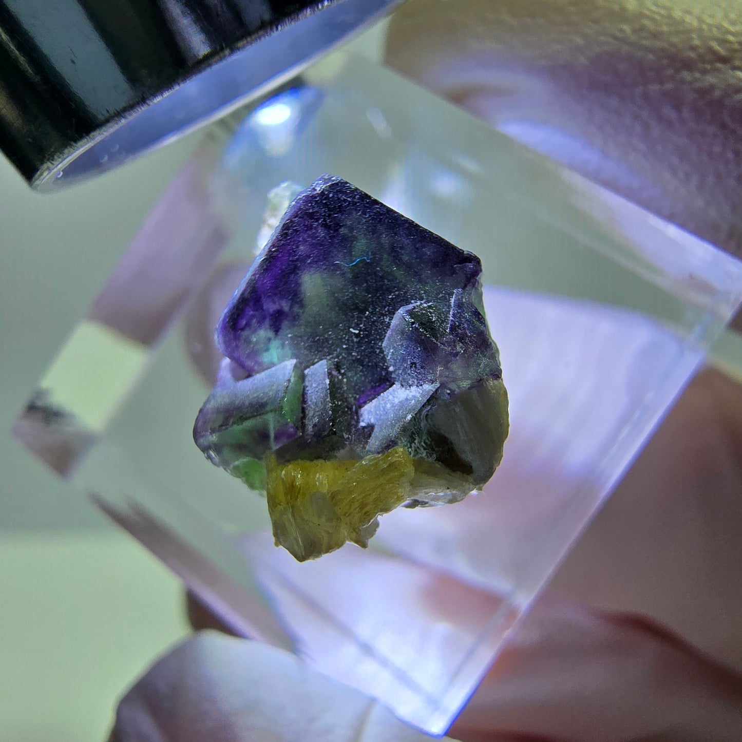Cube de fluorite fantôme, zonal, spécimen de muscovite, Erongo, Namibie, 18 x 12 x 11 mm 