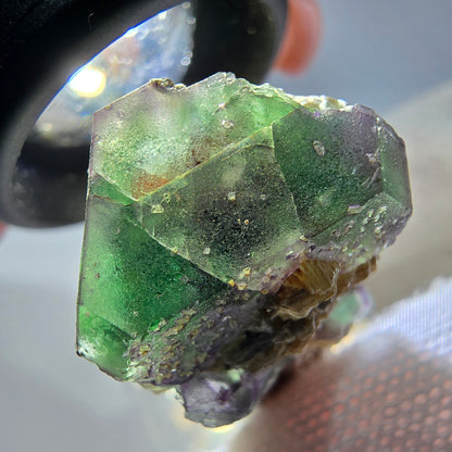 Cube de fluorite fantôme, tourmaline muscovite hexagonale Schörl, Erongo, Namibie 40 x 21 x 13 mm 