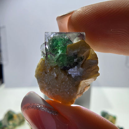 Lot de 16 tourmalines Schörl, fluorite fantôme, hyalite, stade muscovite, Erongo, Namibie 